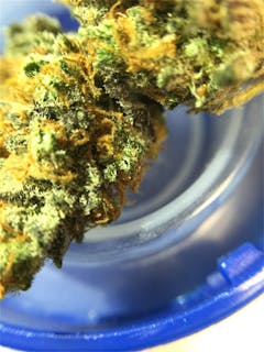 User uploaded image of Chocolate Thai