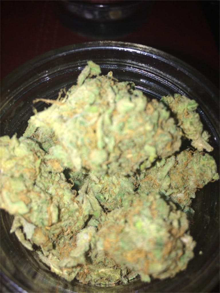 Photos of Chocolate Thai Weed Strain Buds Leafly