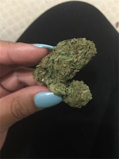 User uploaded image of Chocolate Thai