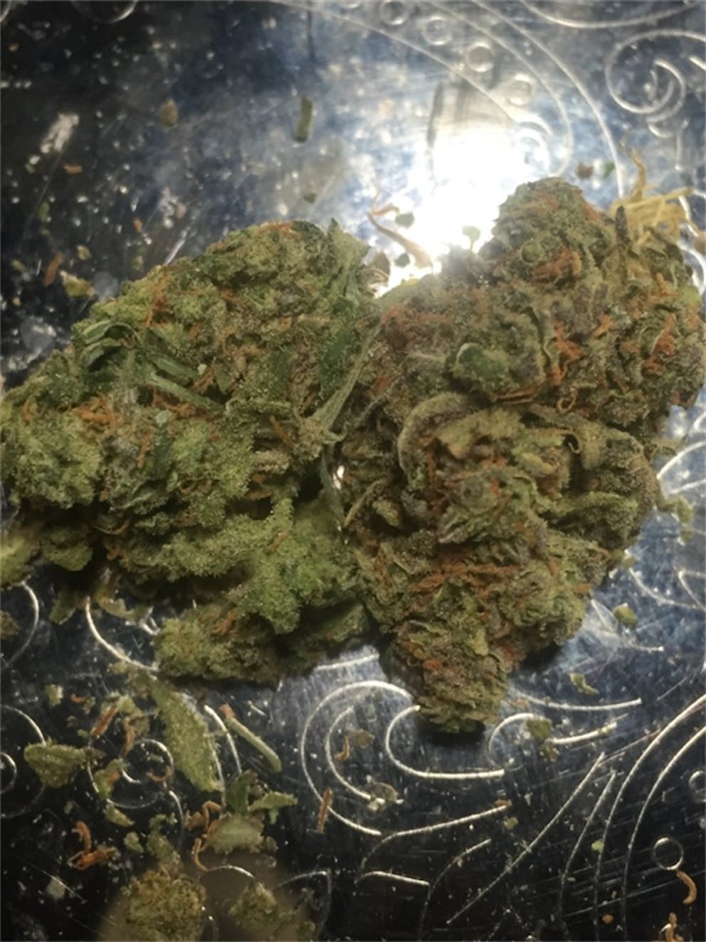 Photos of Chocolate Thai Weed Strain Buds Leafly