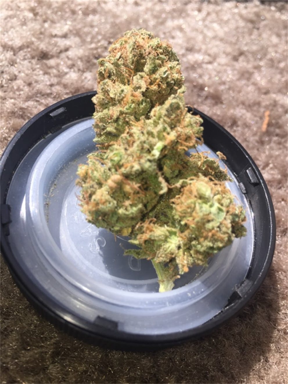 Photos of Chocolate Thai Weed Strain Buds Leafly