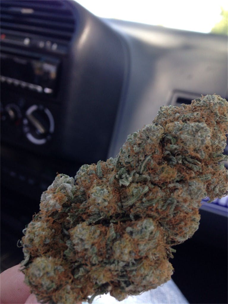 Photos of Chocolate Thai Weed Strain Buds Leafly