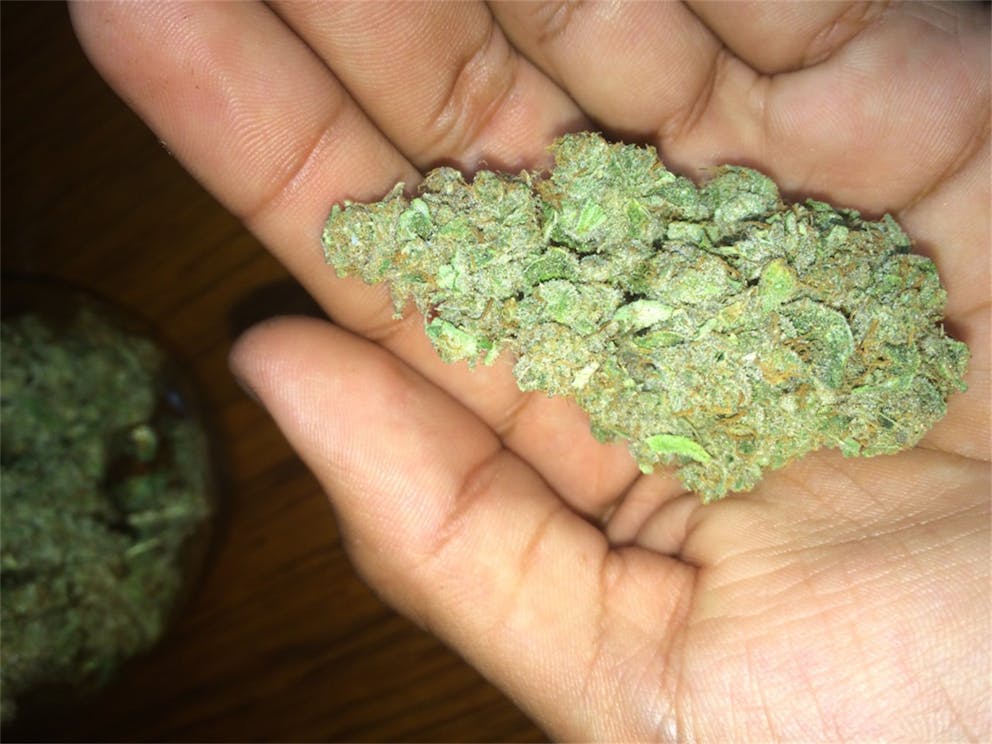 Photos of Chocolate Thai Weed Strain Buds Leafly