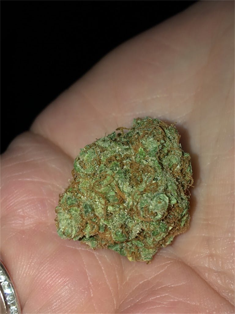 Chocolate Thai Weed Strain Information Leafly