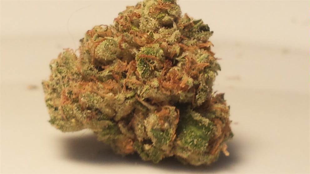 Photos of Chocolate Thai Weed Strain Buds Leafly