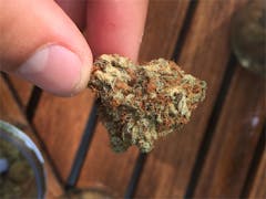 User uploaded image of Chocolate Thunder