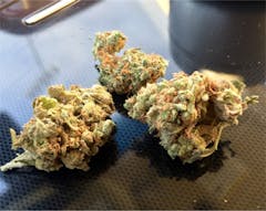 User uploaded image of Chocolate Thunder