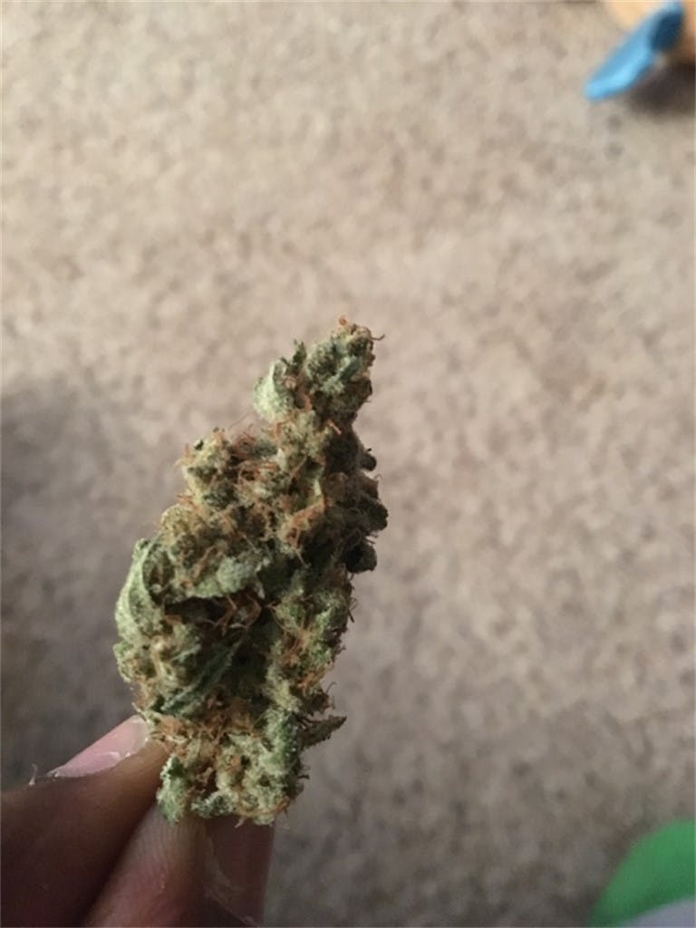 Chocolate Thunder aka Chocolate Thunder Fuck, Choco Thunder Weed Strain Information Leafly