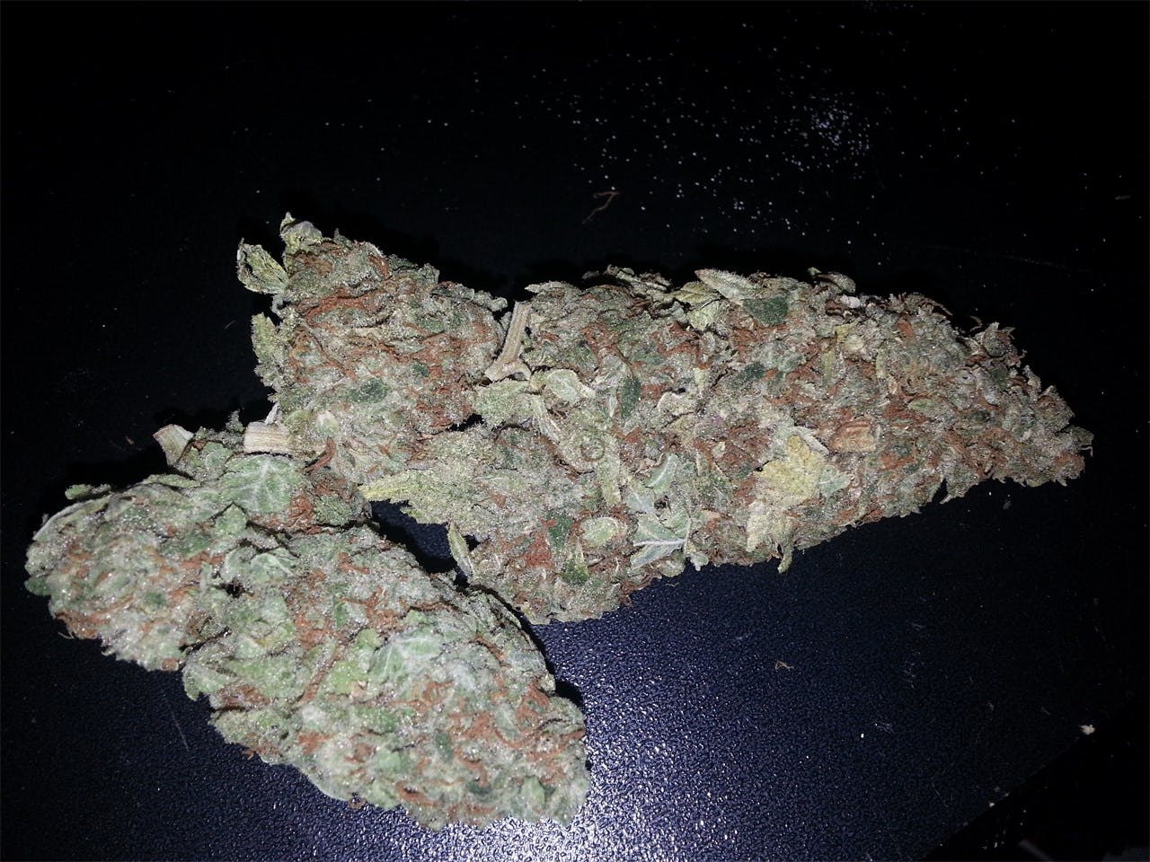 Chocolope Kush Weed Strain Information Leafly