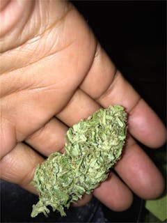 User uploaded image of Chocolope Kush