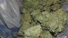 User uploaded image of Chocolope Kush