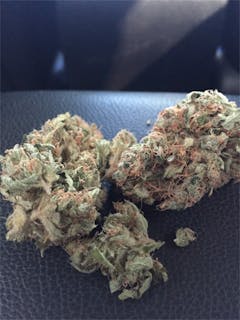 User uploaded image of Chocolope Kush