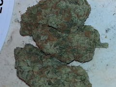 User uploaded image of Chocolope