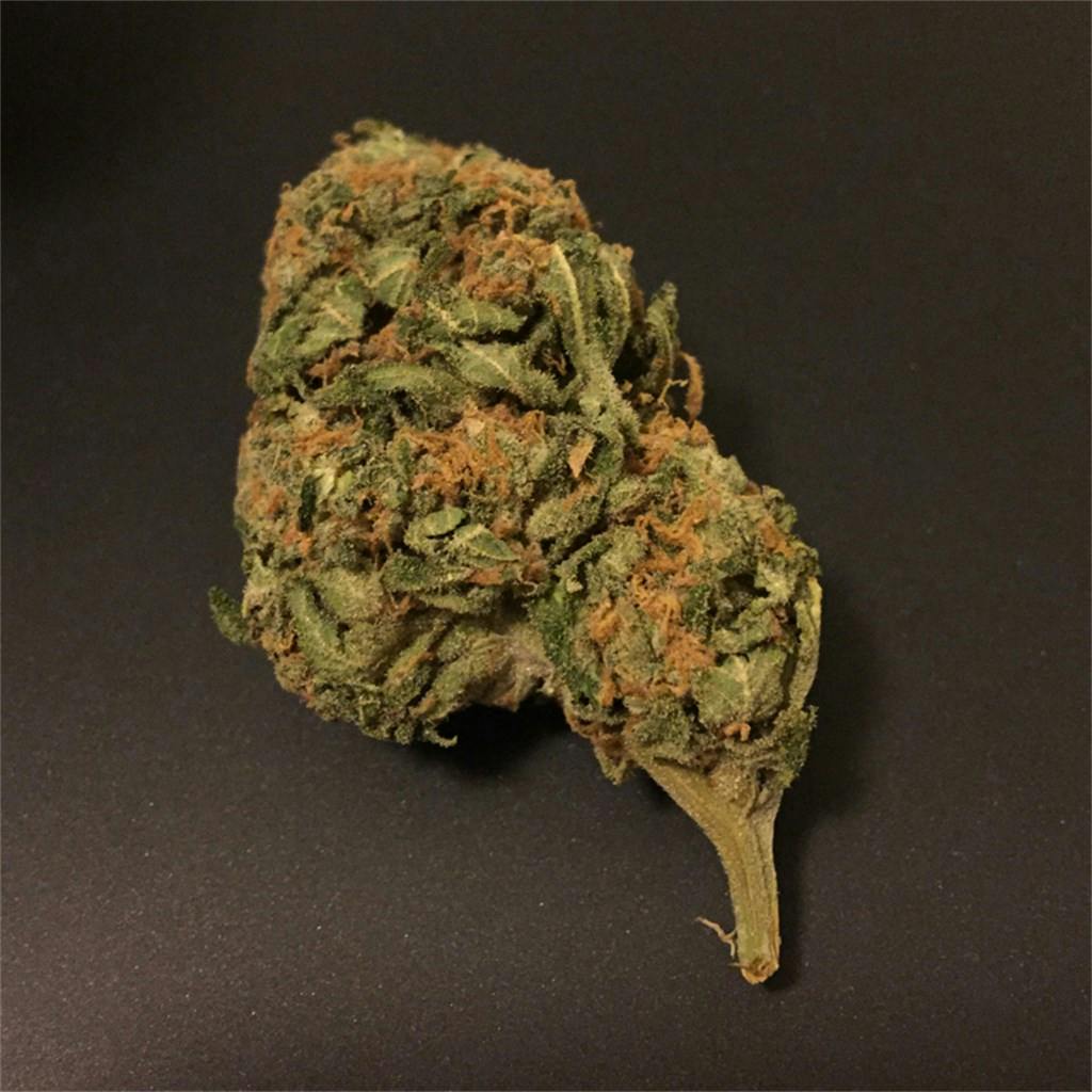 Photos of Chocolope Weed Strain Buds Leafly