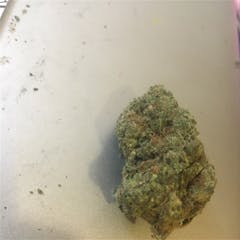 User uploaded image of Chocolope