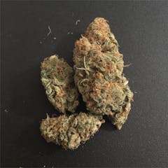 User uploaded image of Chocolope