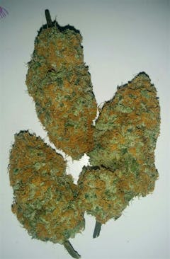 User uploaded image of Chronic Thunder
