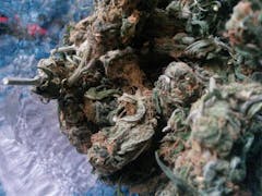 User uploaded image of Chronic Thunder