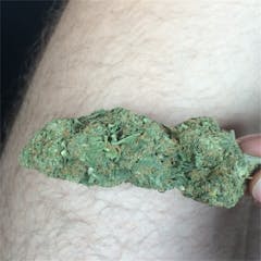 User uploaded image of Chronic