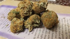 User uploaded image of Chronic