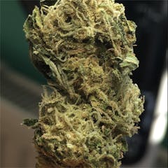 User uploaded image of Chronic
