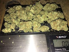 User uploaded image of Chronic
