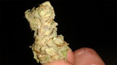 User uploaded image of Chucky's Bride