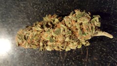 User uploaded image of Chupacabra