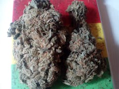 User uploaded image of Chupacabra