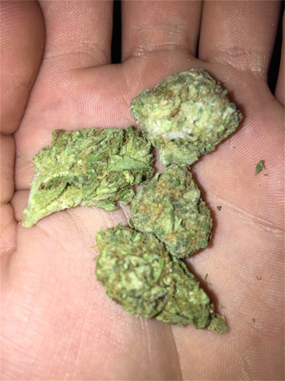 Photos of Cinderella 99 Weed Strain Buds Leafly