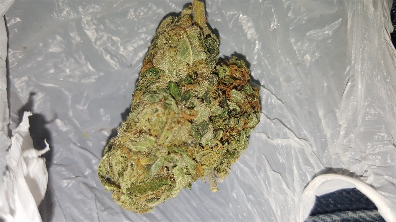 Photos of Cinderella 99 Weed Strain Buds Leafly