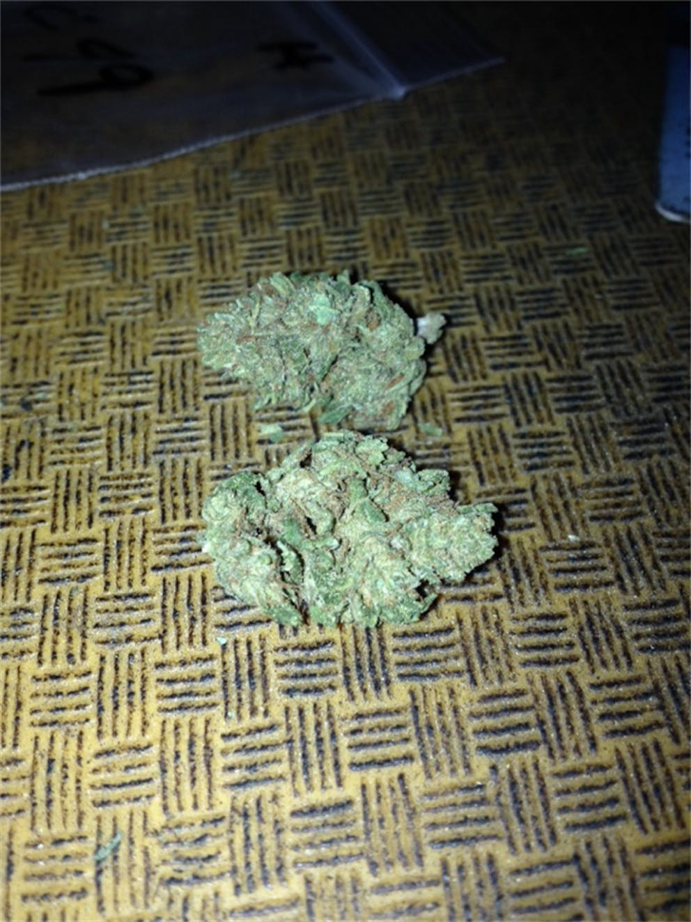 Photos of Cinderella 99 Weed Strain Buds Leafly