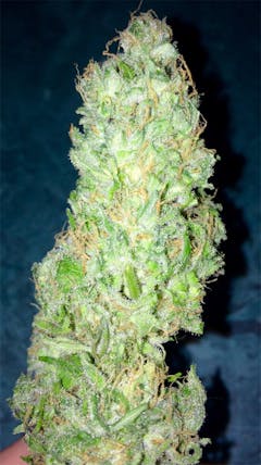 User uploaded image of Cinderella 99