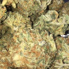 User uploaded image of Cinderella 99