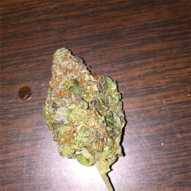 Photos of Cinderella 99 Weed Strain Buds Leafly