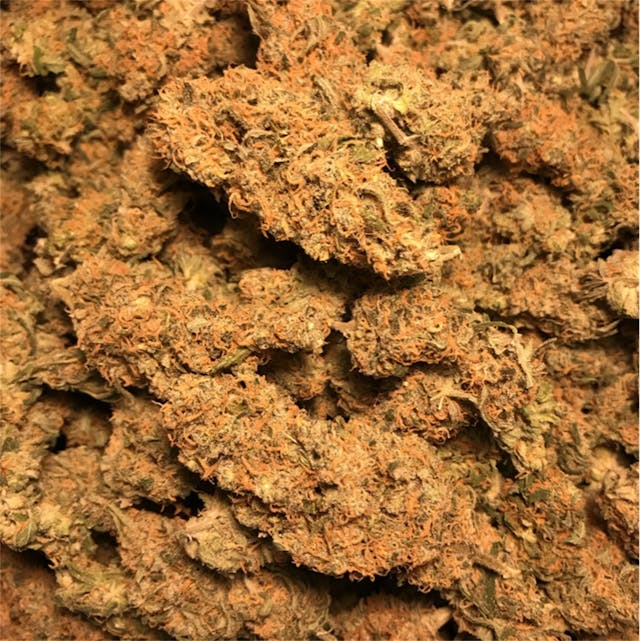 Photos of Cinderella 99 Weed Strain Buds Leafly