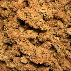 User uploaded image of Cinderella 99