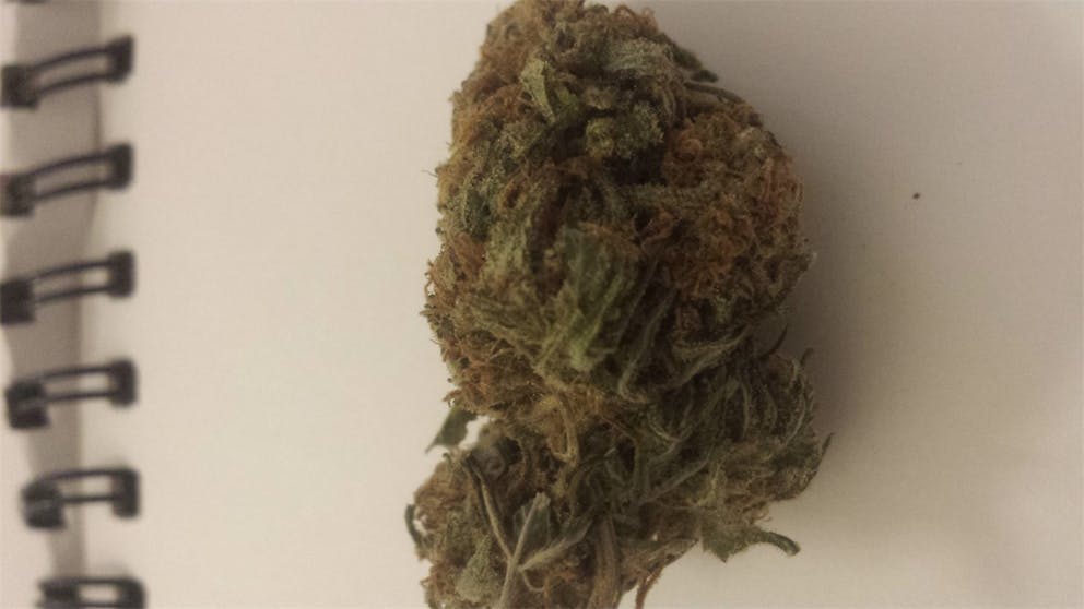 Photos of Cinderella 99 Weed Strain Buds Leafly