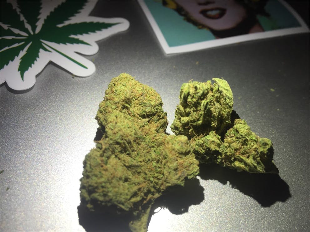 Photos of Cinderella 99 Weed Strain Buds Leafly