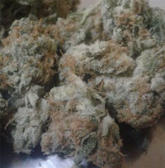 User uploaded image of Cinderella's Dream