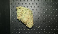 User uploaded image of Cinderella's Dream