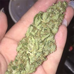 User uploaded image of Cinderella's Dream