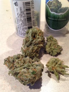 User uploaded image of Cinderella's Dream