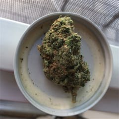 User uploaded image of Cindy White