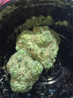 User uploaded image of Cindy White