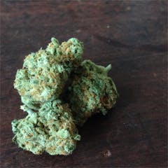 User uploaded image of Cindy White