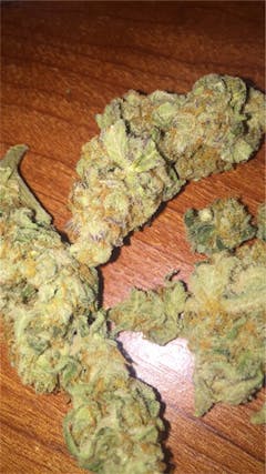 User uploaded image of Cindy White