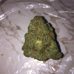 User uploaded image of Cindy White