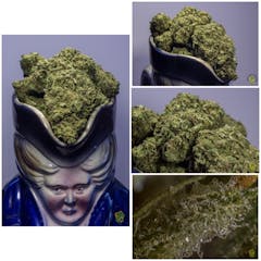 User uploaded image of Cindy White