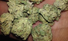 User uploaded image of Citrix